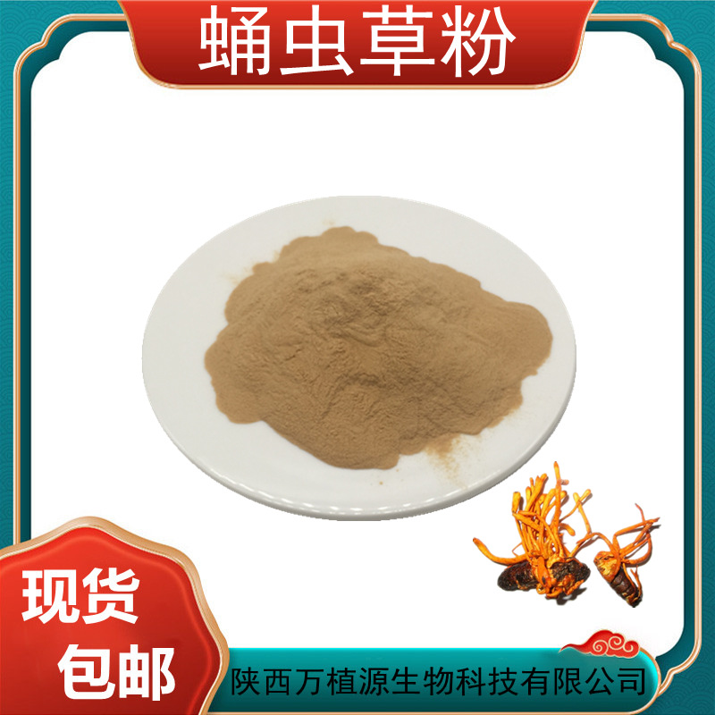 现货供应 蛹虫草粉99%虫草花提取物 子实体蛹虫草原粉 虫草菌丝体