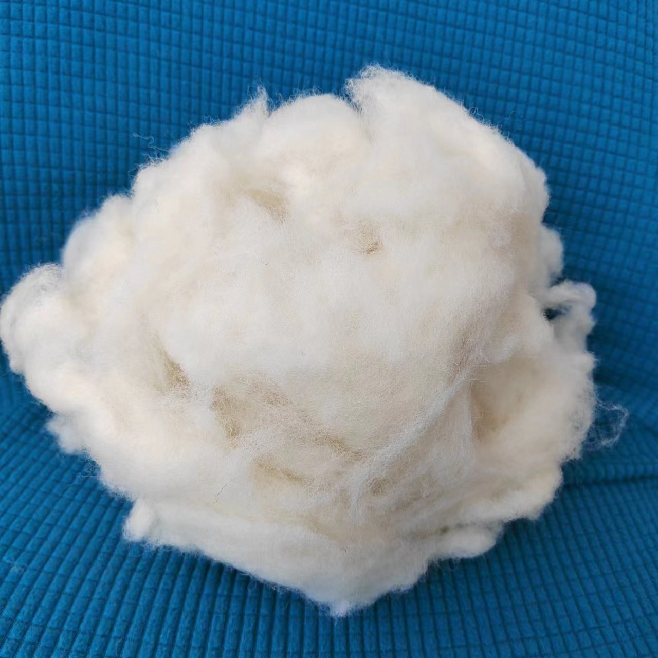 ec20192d64f6b1b9cccd0708f9007e