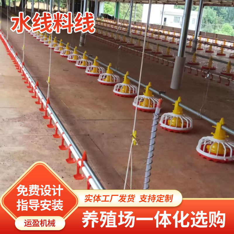 猪舍养殖料线料盘养鸡料线肉鸡料线全自动畜牧养殖料线厂家批发