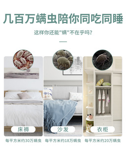 J8 Student Dormitory Anti-Itch Pillow Mattress Bed Wardrobe Mite Removal Bag Mite Removal Herbal Insect Mite Removal G3