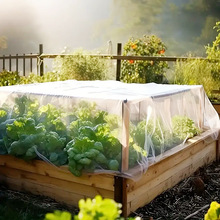 ���@�W���w�W�B����ϾW�ˈ@ͥԺ�W�����x�W��ֲ�ﱣ�o��������