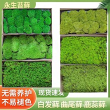 ����̦�\ �װl�\��β¹���\̦�\����ֲ��쾰����̦΢���^�b�