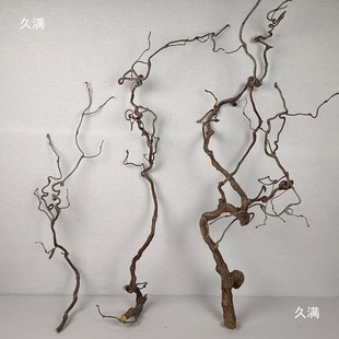 �U���֦�[����������ԭľ���bڒ��ֲ���������֦�ָб���