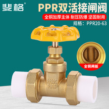 ȫ�~20PPR���y�T�ԁ�ˮ���_�P4/6���l�y25ppr�p��ӟ���32ֹˮ�y