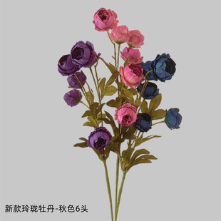 滨6^ᭇĵĵcҾӾƵĔz߽ٻl