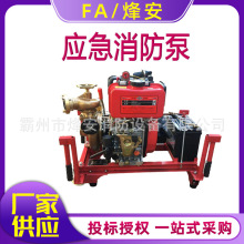 船用应急消防泵65CWY-40船用柴油机消防泵 船用消防泵生产厂家CCS