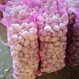 蒜;脱水蔬菜;其他调味品