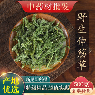 ��ș���ؼ�Ұ������500g��Ʒ�������ۺ��L���h־������͸�ǲ�