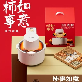 家用空气炸锅;对流/循环扇;烧烤架烧烤网