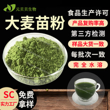 行业精选全水溶食品级麦苗粉现货大麦草汁粉固体饮料原料大麦苗粉