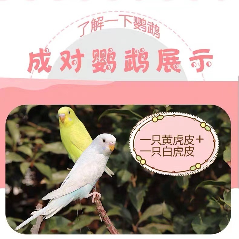 f3a91657-af22-47bf-9291-2a6ba4df3f09.jpe