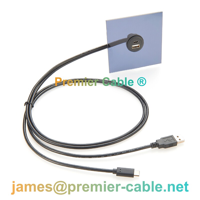 Dual Port USB 3.1 Male to USB type C female 2 port car flush Cable embedded panel