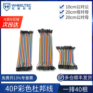 40P�Ű��ɫĸ��ĸ������ �p�^1P��1P�z�� �L10CM20CMһ��40��