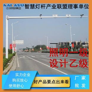 Electronic Monitoring Pole, Capture Pole, Signal Pole, Hot-Dip Galvanized Octagonal Monitoring Pole, Traffic Wholesale Street Light Pole, Lighting Decoration