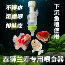 ����ιʳ����׷���ˮ̩ʨ����ιʳ���³�����ιʳ�������羳