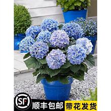 ������o�M���ļ��_���������Ԏ���ͥԺ����ֲ���҃Ȼ�������