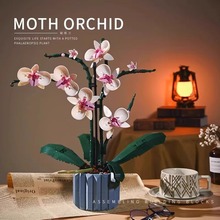 跨境兼容乐高10311蝴蝶兰花积木花束盆栽满天星儿童拼装模型批发