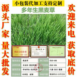 黑麦草种子多年生冬牧70牧草种籽四季青草种子喂鸡鸭牛羊猪鱼草种