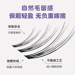 Red Book Best Selling Item - Devil False Eyelashes, Dense and Lightweight, Natural Single Cluster Segmented Glue-on False Eyelashes