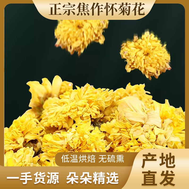 Henan Specialty Jiaozuo Huaichrysanthemum Pearl Chrysanthemum Chrysanthemum Tea Ice Chrysanthemum Huaishou Chrysanthemum Yellow Chrysanthemum Tea Fruit Tea Wholesale Henan Specialty Jiaozuo Huaichrysanthemum Pearl Chrysanthemum Chrysanthemum Tea Ice Chrysanthemum Huaishou Chrysanthemum Yellow Chrysanthemum Tea Fruit Tea Wholesale