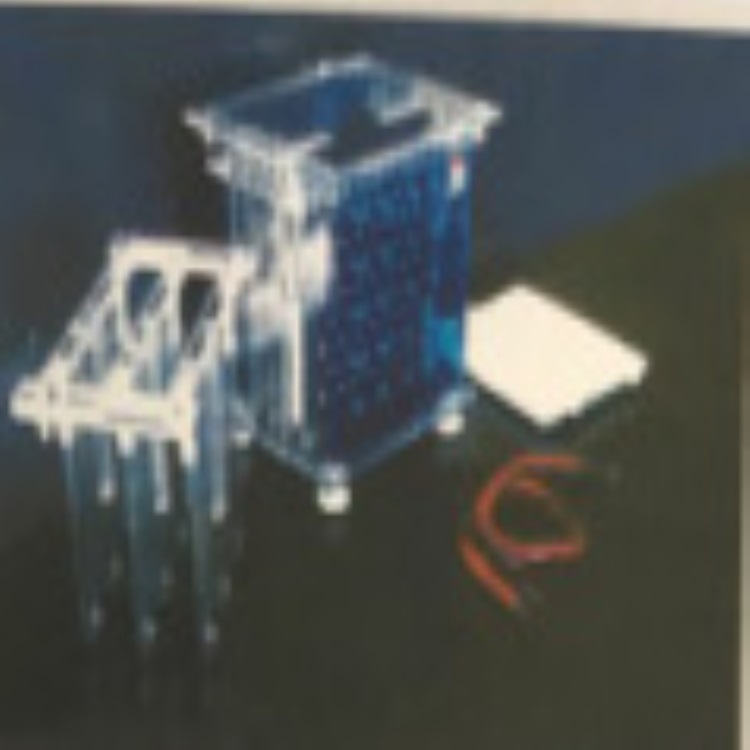 转印电泳仪/电泳仪配件 型号：H17321