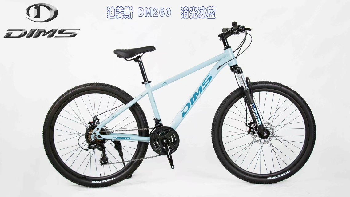 Dimas High-End Mountain Bike Adult Mountain Bike