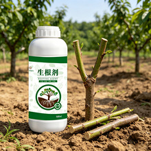 八个老头生根剂果树移栽扦插发根生根粉生根壮苗剂植物生根液