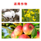 Германия Канпул Думерический Микрофер Кальций Кальций Кальций Кальций Кальций Кальций Кальций Кальций Кальций Кальций Кальций Кальций -основанный, цинковой бороник, бороника