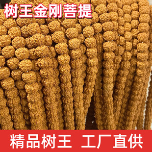 ����С���������L��114�w�M����꽪�SƤ��������������l