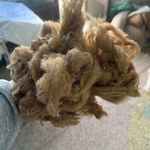 ��Ƭ�����ޱ���������ﾫ�ἃ��qԭ�������