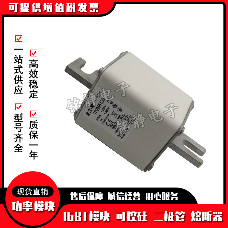 170M5238 170M5239 170M5240 170M5241美国巴斯曼熔断器型号齐全
