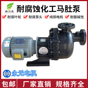 勝川寶PP塑料化工自吸泵馬肚污水泵電鍍污水泵永元電機大頭泵