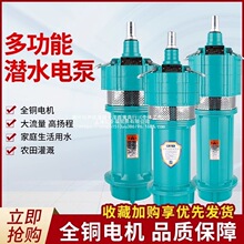 QD�༶Ǳˮ�ü���220v������ͽ�ʽС�������ũ�ù��ˮ��380v