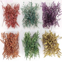 ���˲��������ɻ�diy���ϰ��������ֲ��Ϟ�T�Y�ﱣ�r�������x