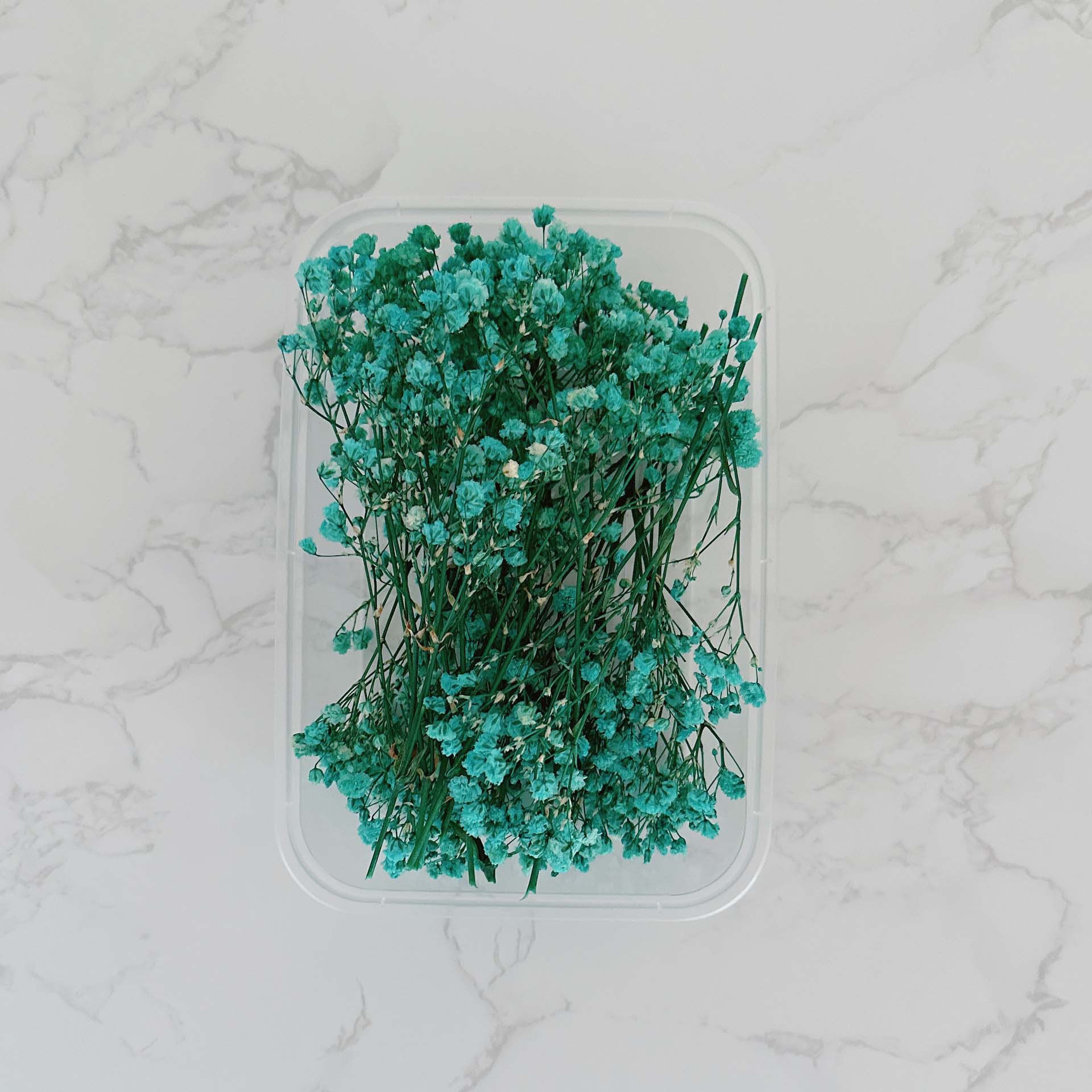 Lago azul cielo estrellado