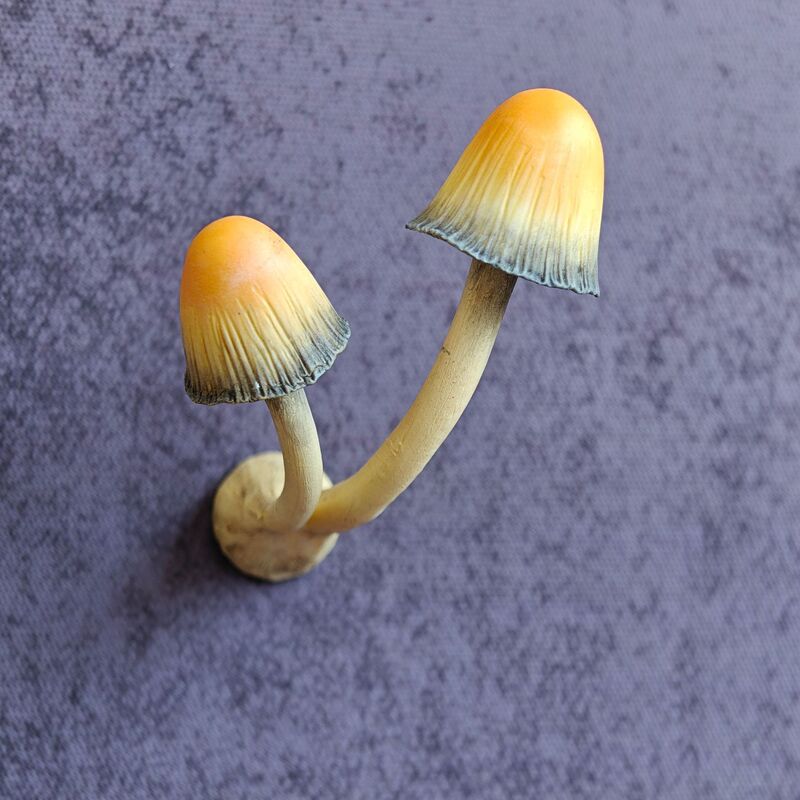 云南野生菌冰箱贴 手工制作 磁铁冰箱贴 蘑菇冰箱贴 冰箱贴磁吸式|undefined