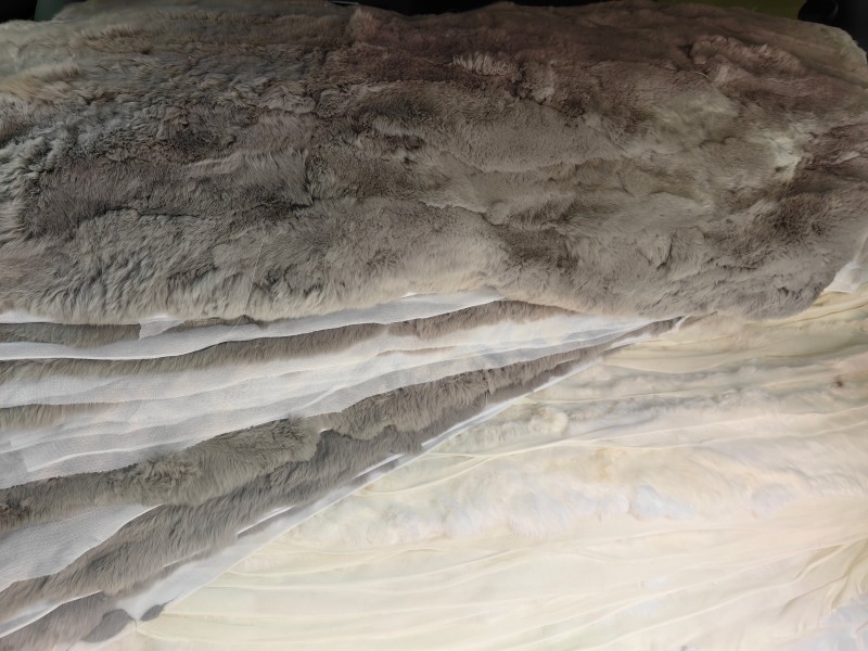 微信图片_20250319100417