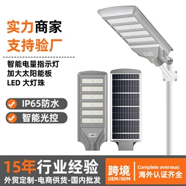太阳能灯;庭院灯;路灯