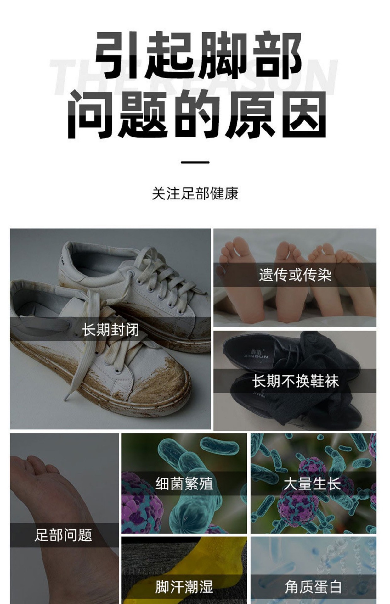详情7.jpg