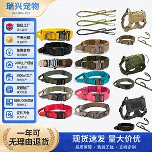 ���x�羳�F؛���g���Ȧ�����K����Ȯ����Ӗ���������K�����Ȧ