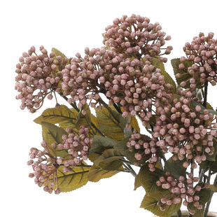 ���滨������ͮ�ɫ�����b[�� �Wʽ��ˇ�ҾӲ廨�zӰ�������l