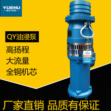 上海油浸泵QY充油式水泵喷泉泵高扬程大流量矿用泵2.2KW