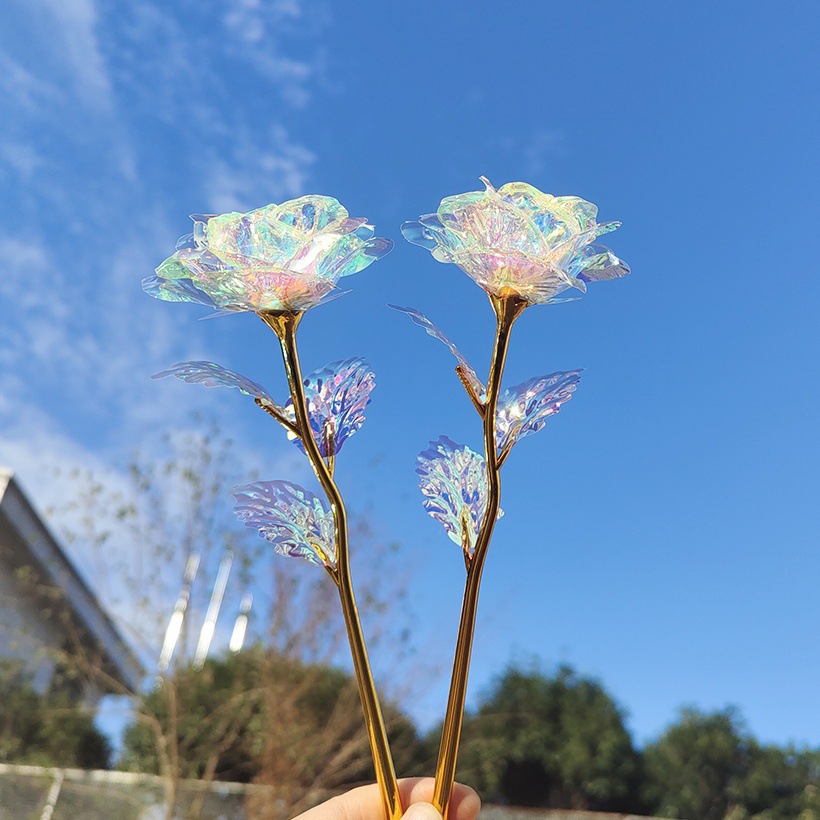 彩金白裸花