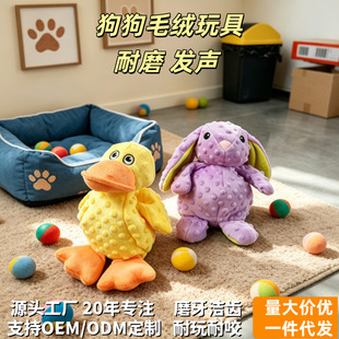 �羳������߹���ë�q���|���������������С���������l�␞����