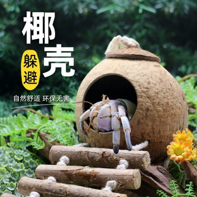 Коллекция гнезд из натуральной кокосовой скорлупы с лестницей, маленькое гнездо для укрытия и ландшафтного декора, ландшафтный дизайн в натуральном стиле очень большого диаметра.