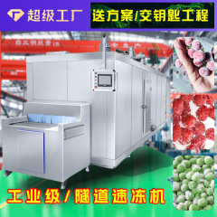 全自動海鮮低温冷凍設備大型食品急凍設備トンネル式予冷急凍機