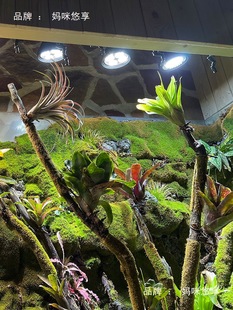 ֲ�����L������ָ׻����҃����B�쾰ȫ���V��̫�܉��ֲ�o