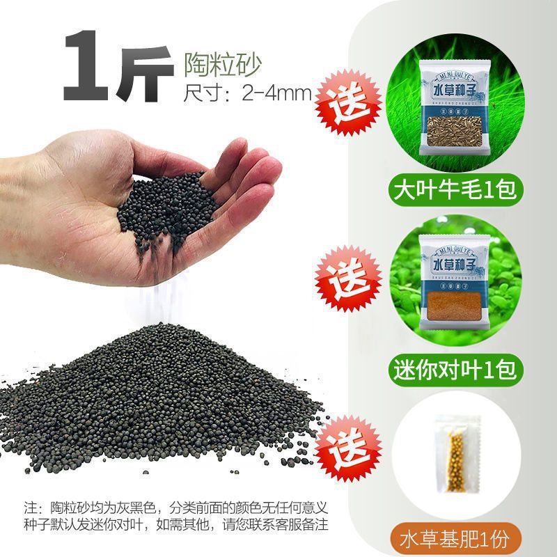 嘘援娉ユ壒鍙戙€愪笉舞枃丸瀀耣ャ€戦櫠绮掔戞枸shoulder a few搴琴爞更曟曟曘昘棌绠 argue