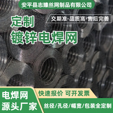 定制镀锌养殖铁丝网不锈钢电焊网车间隔离圈地防护内外墙保温防裂