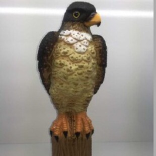 1:1 Restore Simulation Garden Decoration Wild Small Falcon Standing Forest Outdoor Hunting Trapping Bird Repelling Rat